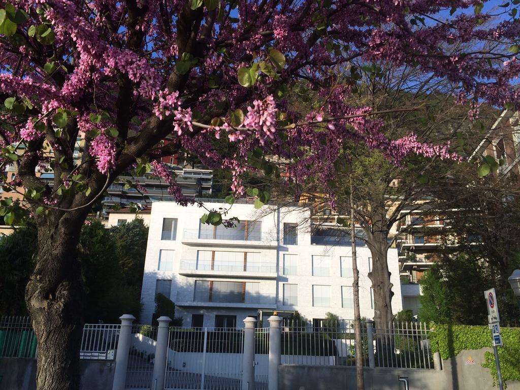 Villa Bianca Como Rom bilde